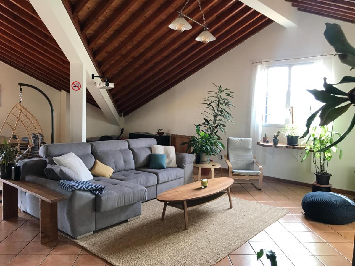 Lava Acores Coliving & Coworking 리베라그란데 외부 사진