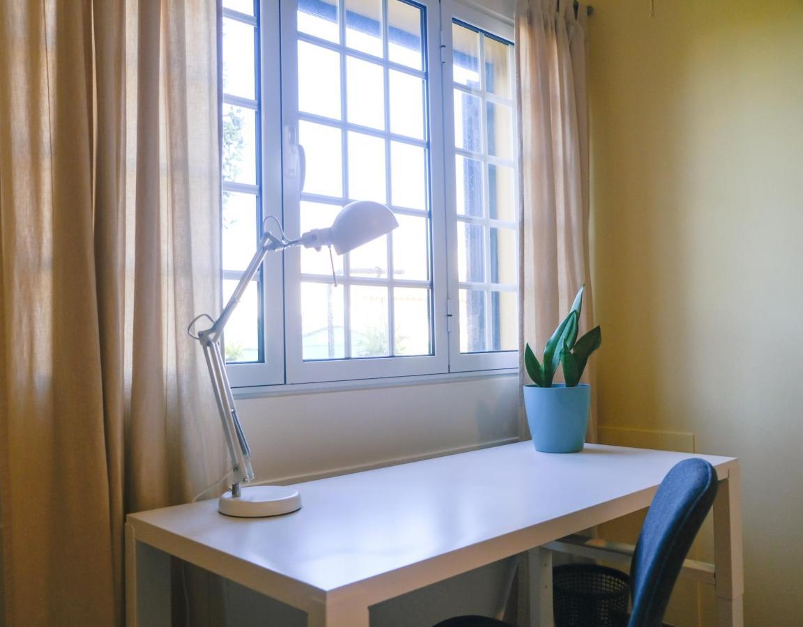 Lava Acores Coliving & Coworking 리베라그란데 외부 사진