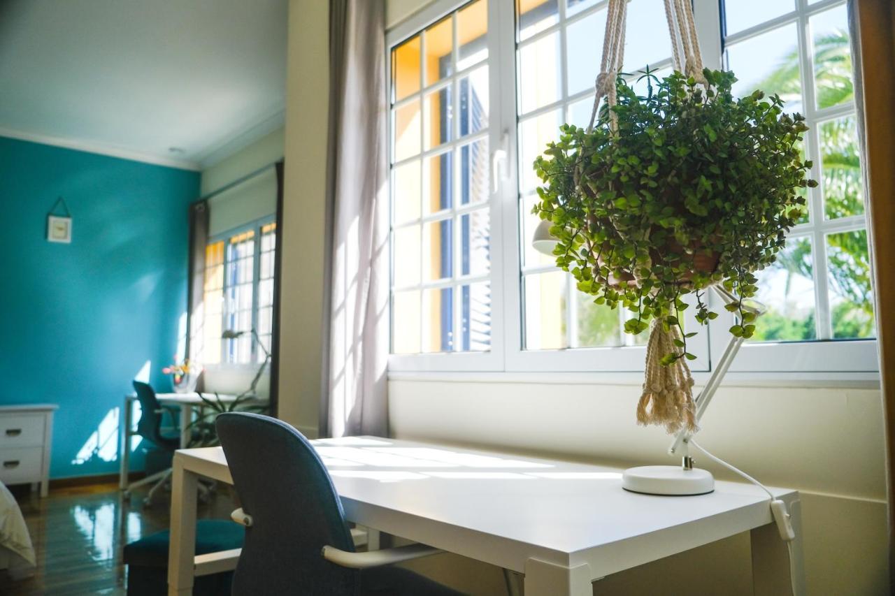 Lava Acores Coliving & Coworking 리베라그란데 외부 사진